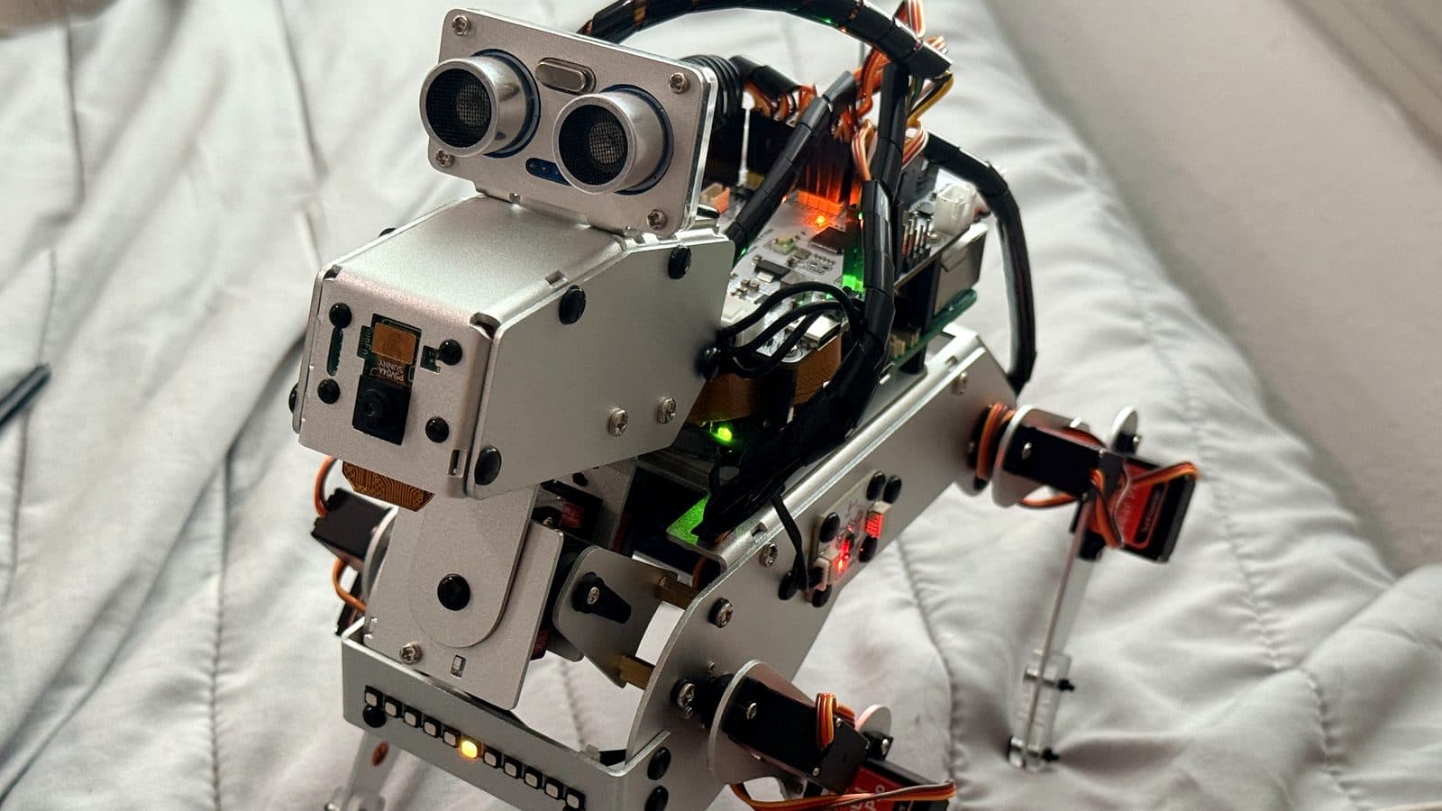 I Gave My Robot Dog Offline AI: Three Neural Nets on a Raspberry Pi 5 CPU